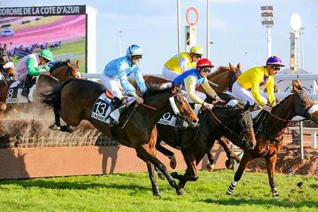 Actualités Hippiques